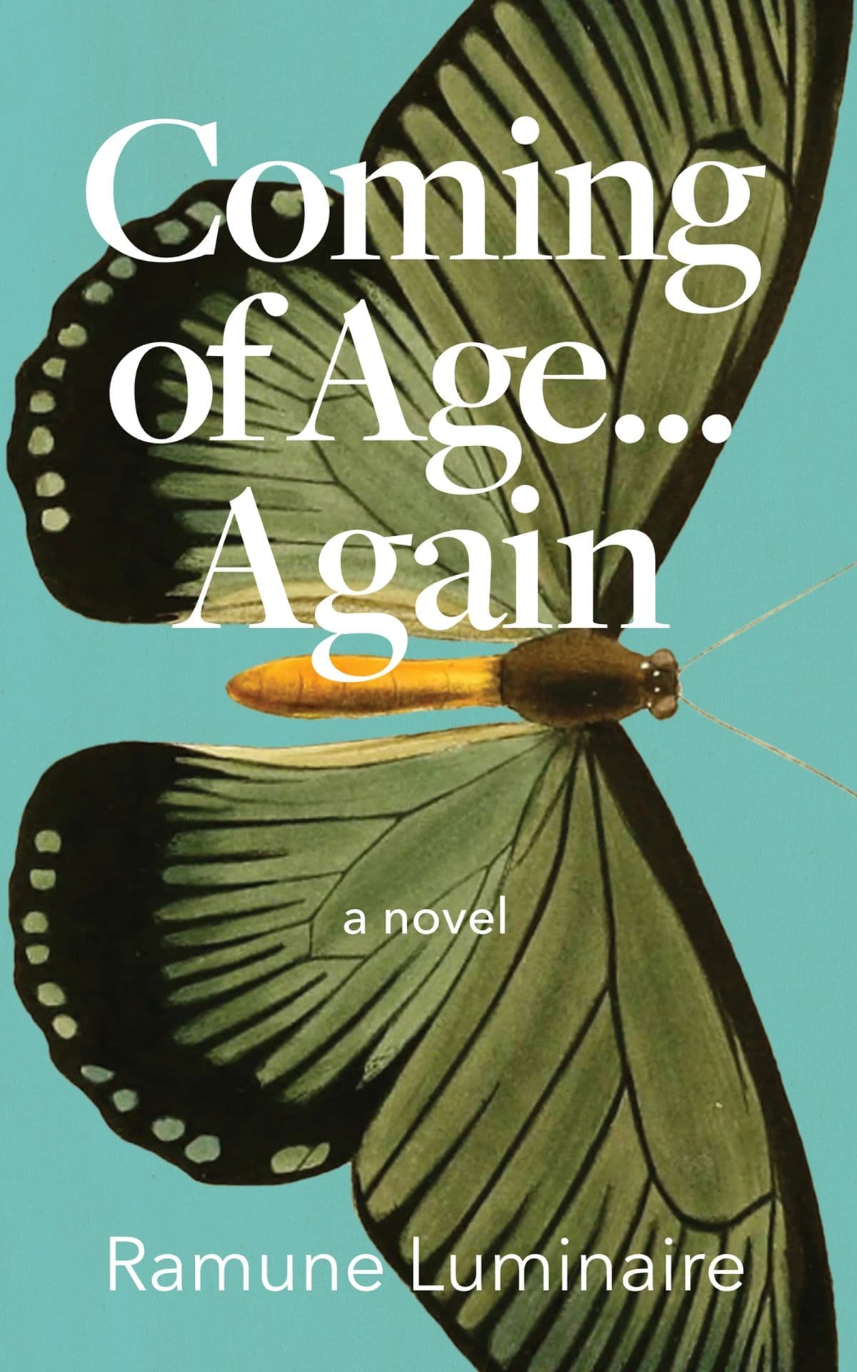 Coming of Age ... Again — book cover
