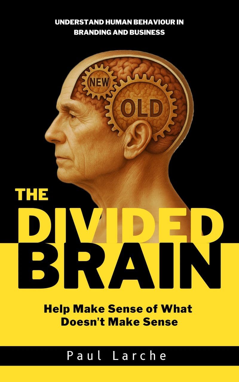 The Divided Brain: Understanding Human Behaviour in Branding and Business — book cover